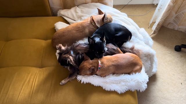 233. Написала жалобу, как Томас сдал экзамены, мы и наш магазин в Италии на гугле.