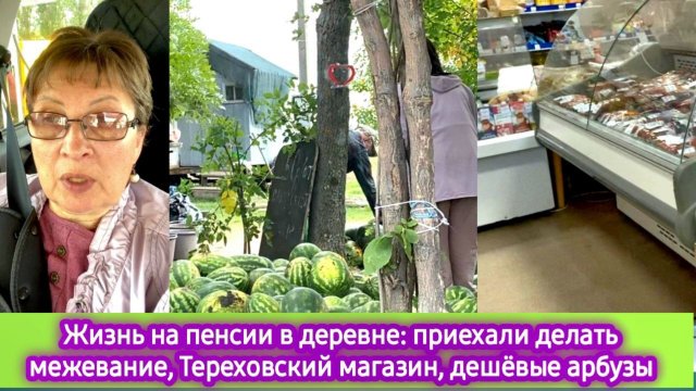 Жизнь на пенсии в деревне: приехали делать межевание, Тереховский магазин, дешёвые арбузы