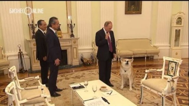 Собака Путина и японцы