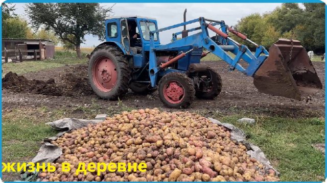 ЛЮДИ ПЛАТЯТ ЗА ЭТО ДЕНЬГИ А в ДЕРЕВНЕ ОНО ПОД НОГАМИ,Рецепт мясных чипсов в термокамере Hobbi Smoke