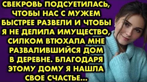Свекровь подсуетилась, чтобы нас с мужем быстрее развели и чтобы я не делила имущество, силком...