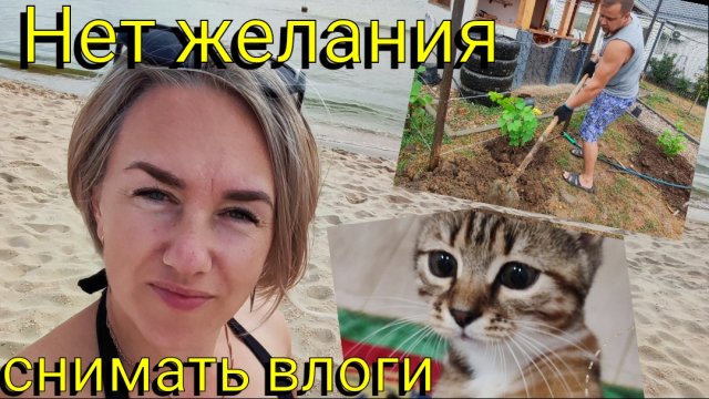 Переезд на ЮГ☀ Нет желания снимать влоги😒 Посадили виноград 🍇