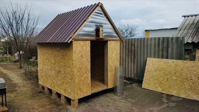 Новый Голубятник: Краткий обзор гонной голубятни для молодёжи!