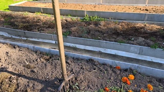 Видео привет с Подмосковной дачи.