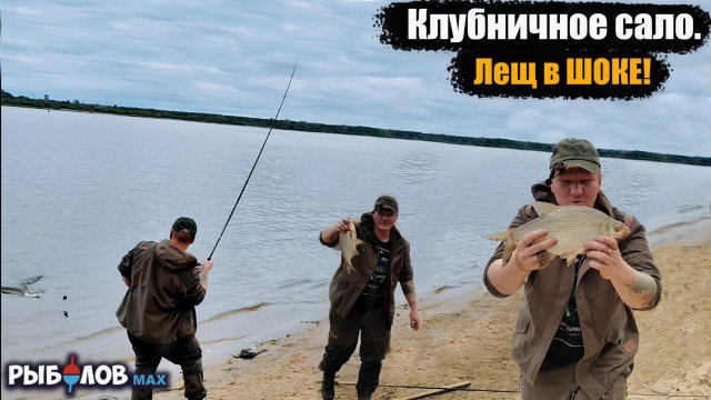 Попал на раздачу осеннего леща. Клубничное сало для леща. Лещ на сало осенью. Рыбалка ночью