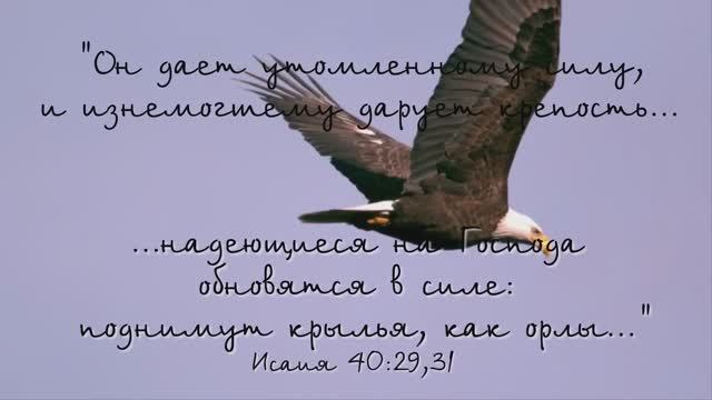 Дай Мне Крылья Как у Орла ｜ Ксения Кузнецова