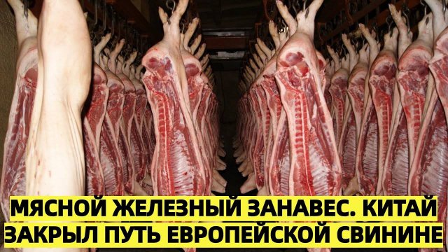 Мясной железный занавес. Китай закрыл путь европейской свинине