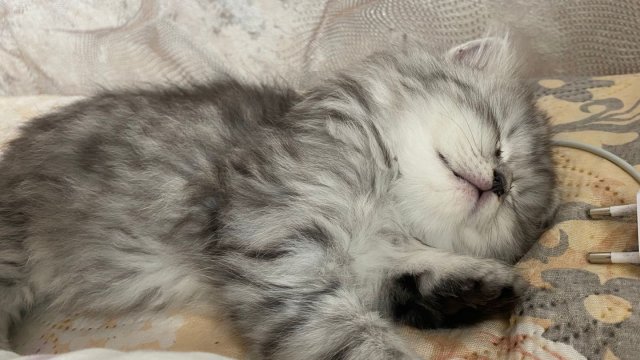 мой день (влог)🤍🤗