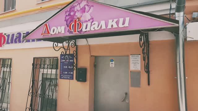 Дом фиалки в Москве Выставка на Пятницкой 27 июня