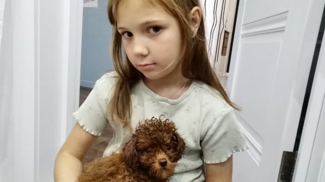 1 рас купали собаку