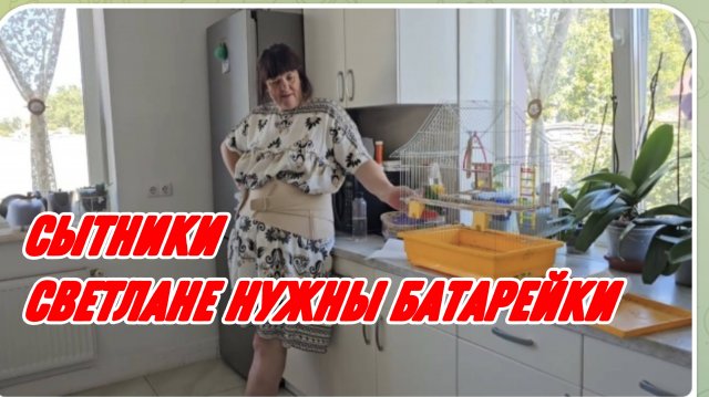САМВЕЛ АДАМЯН, СЫТНИКИ, СВЕТЛАНА УБИРАЕТ СЛИШКОМ МЕДЛЕННО..