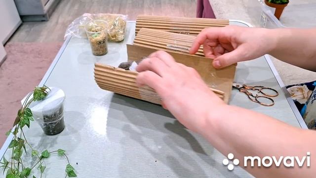 НОВИНОЧКИ ПРИЕХАЛИ!КОМНАТНЫЕ РАСТЕНИЯ(ЦВЕТЫ).
