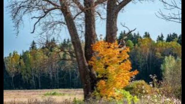 14 сентября - Семин день. Народные приметы и традиции