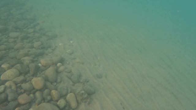 В море с головой