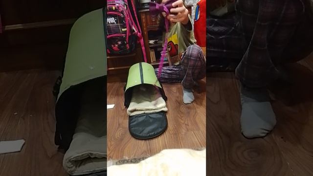 80.mp4