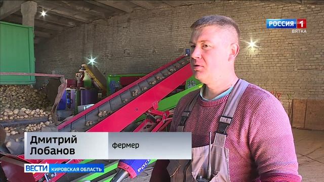Фермеры Кировской области оценили урожайность картофеля в этом году