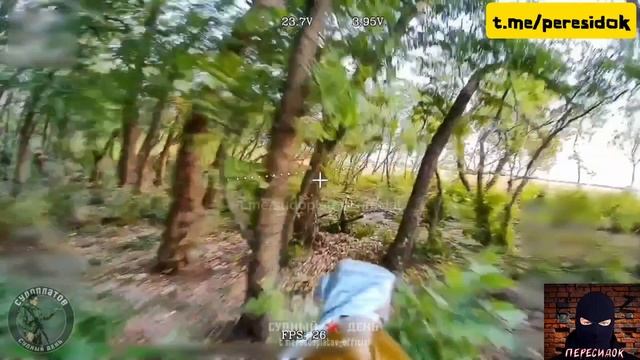 Сафари на ВСУ