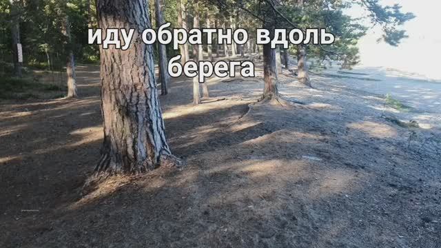 На обратном пути решила пройти вдоль берега.