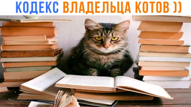 КОДЕКС ВЛАДЕЛЬЦА КОТОВ ))) Приколы | Мемозг 1664