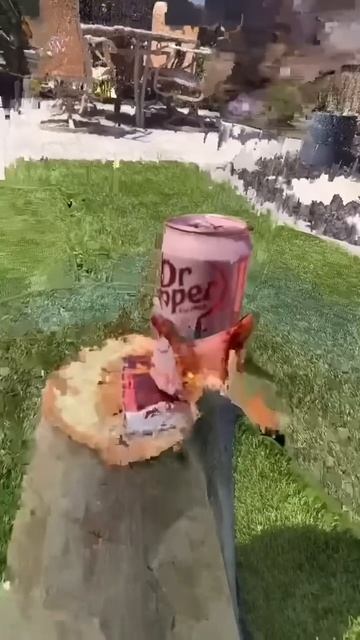 Жиза