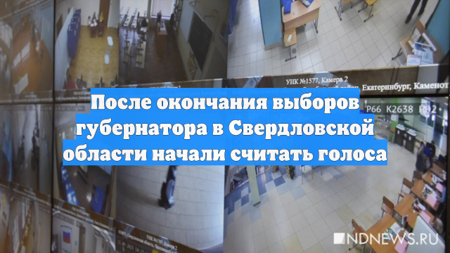 После окончания выборов губернатора в Свердловской области начали считать голоса