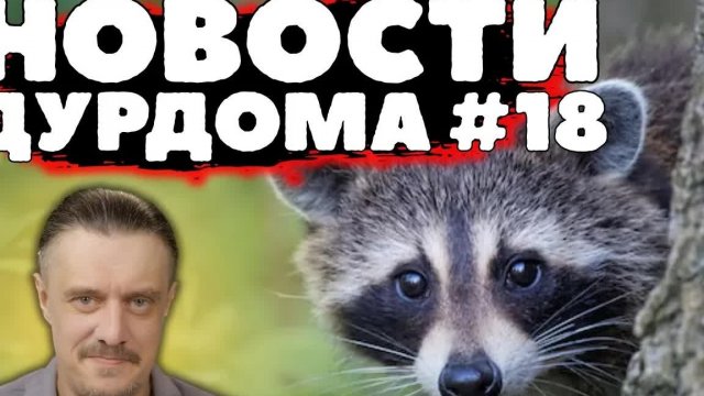 НОВОСТИ ДурДома #18