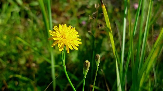 Лучшая расслабляющая музыка для сна, медитации и борьбы со стрессом.
