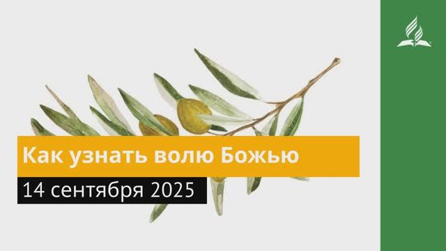14 сентября 2025. Как узнать волю Божью. Под сенью благодати