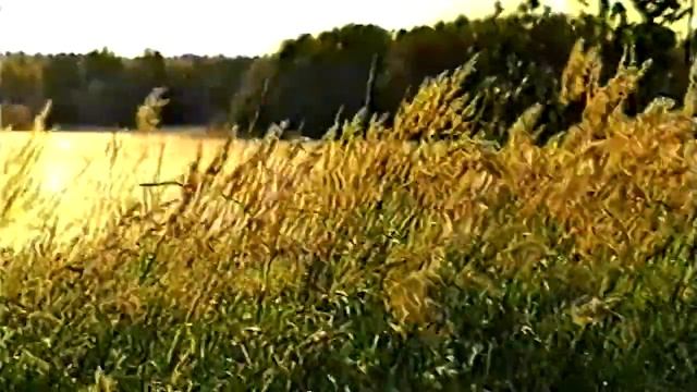 Ты знаешь путь - Елена Козлова, Эмилия Тарнани РТЦ Голос надежды, 1995г.