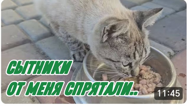 САМВЕЛ АДАМЯН, СЫТНИКИ, ОТ МЕНЯ СПРЯТАЛИ..