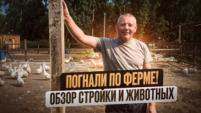 Фермерский обзор СЕНТЯБРЯ: стройки, заготовка сена и овса и жизнь животных! 🏡🛠️🐓 #МоеПодворье