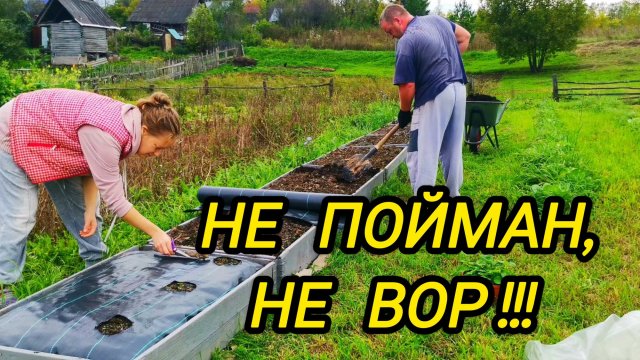 КУПИЛИ ДОМ В ДЕРЕВНЕ | НЕ ПОЙМАН НЕ ВОР | ДОМ В ДЕРЕВНЕ | СЕМЬЯ В СЕЛЕ
