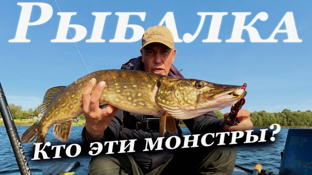 Кто эти МОНСТРЫ в ЭХОЛОТЕ. Рыбалка на ЩУКУ в СЕНТЯБРЕ