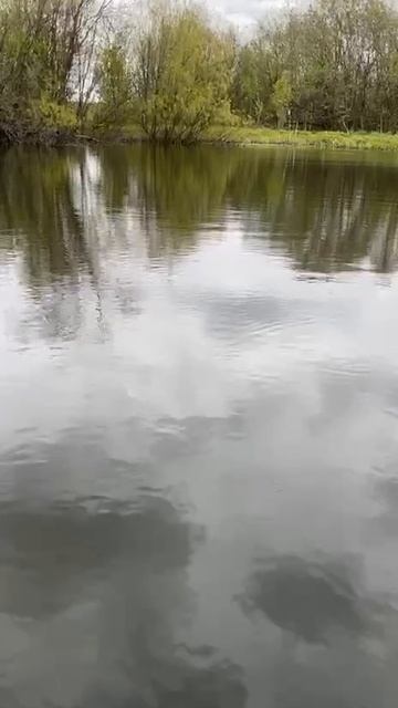 767.mp4