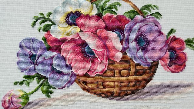 Анемоны,арт цв-082, от старта до финиша.