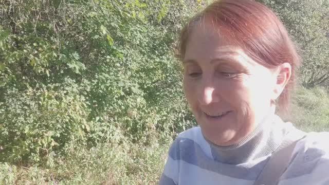 Прогулка на пункт выдачи за покупкой. Завтрак. Обед