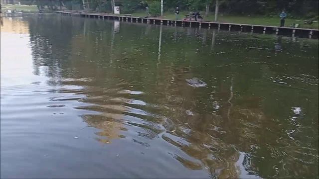 Цвет приманки играет большую роль в поимках форели. Рыбалка на спорт зоне. Клёвое место лосиный