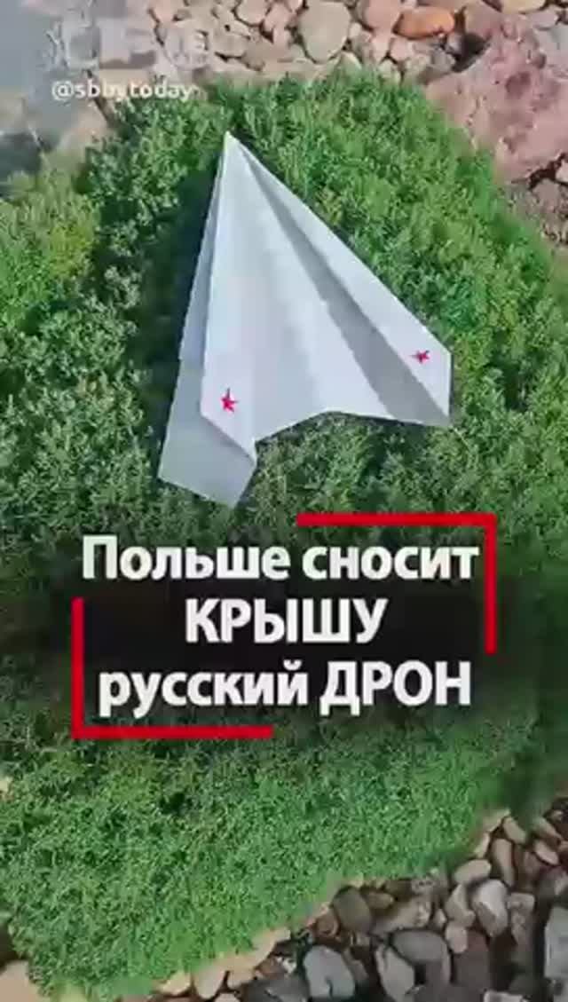 Польшу рвет от СМЕХА с русского ДРОНА! 🤣 Поляки ЗА Россию Глупость власти