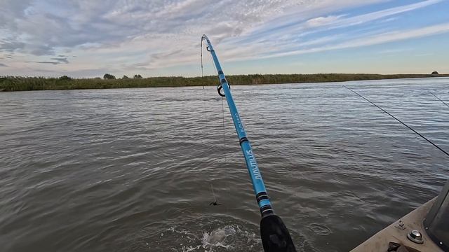 Рыбалка в Астрахани(Ревин Хутор)  2025. Лучше чем поздней осенью!