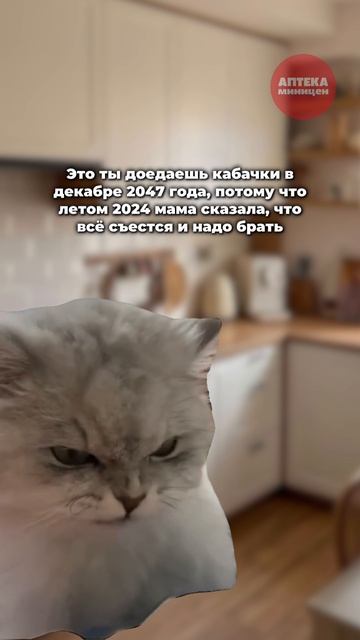 кабачки