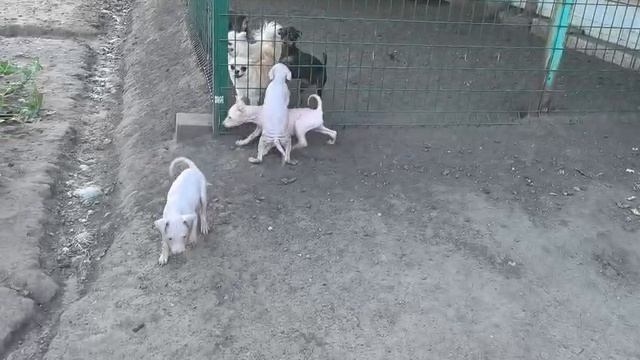 1000013151.mp4