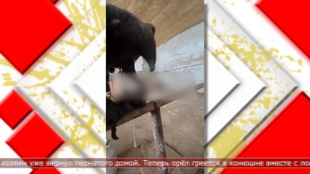 15.09.2025 Мировые новости