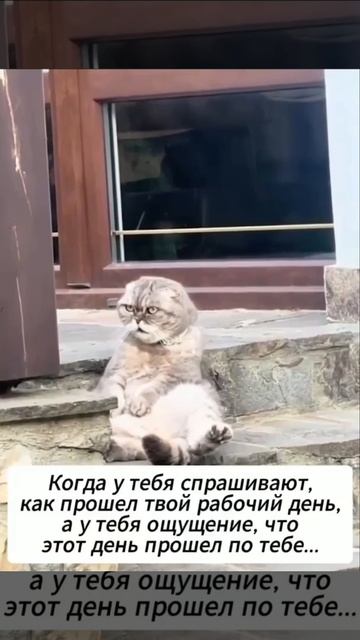 Умаялся