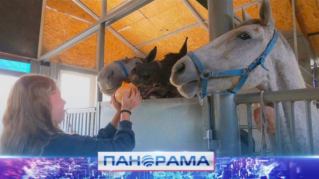 🐎 Там, где рождается «Легенда»: в Донецке открылся новый конный двор