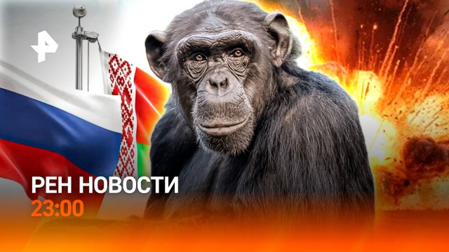 Учения России и Белоруссии / Любовный аферист / Запрет для шимпанзе / РЕН Новости 23:00, 15.09.25