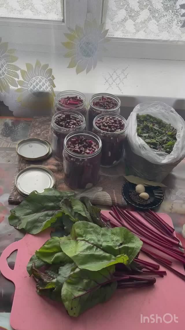 Заготовка свекольной ботвы в прок #свекла #ботва #заготовки #впрок #дача
