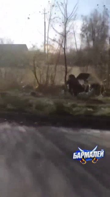 тракторист.mp4