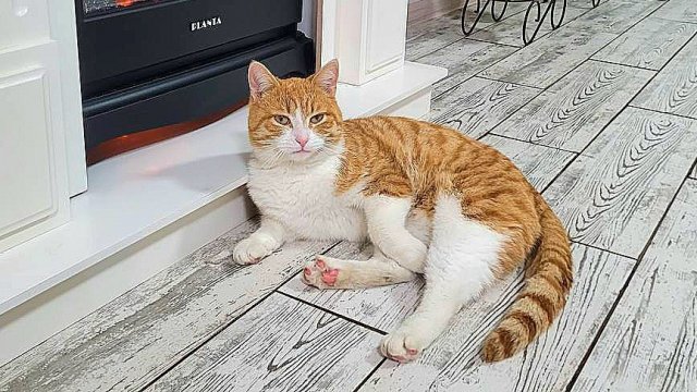 ПРОЩАЙ, ЗОЛОТОЙ РЕБЁНОК 💔 Я не смогла тебя спасти😭