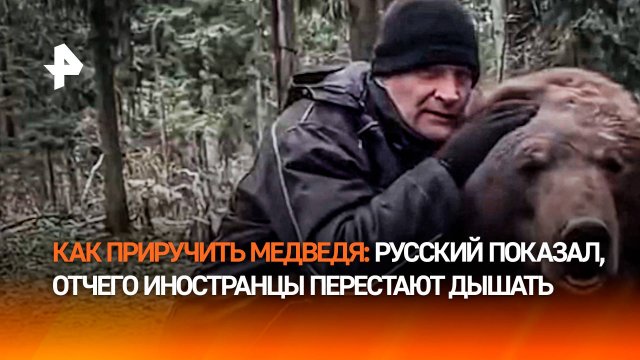 “Все, иди гуляй!”: огромный медведь ходит по струнке перед русским мужиком