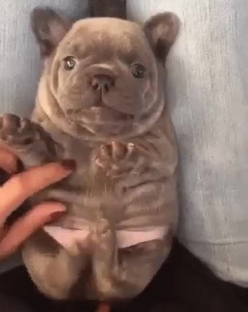 😍